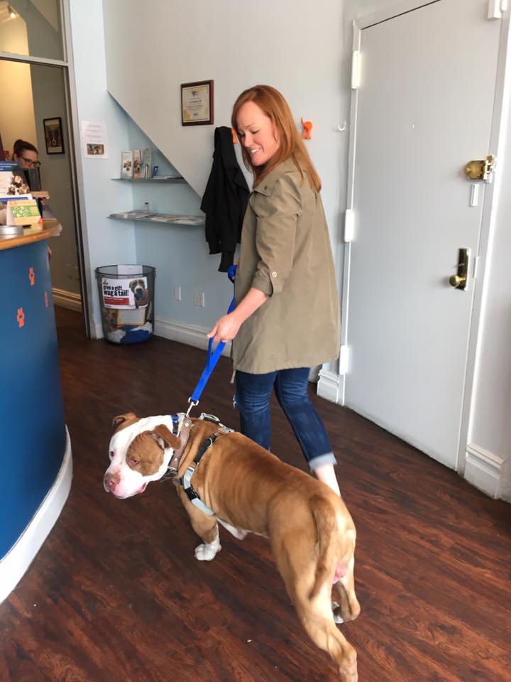 max-abandoned-finds-home-11