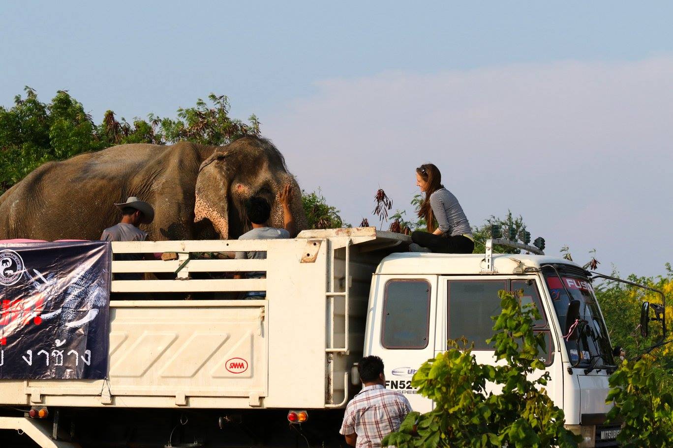elephant-rescued-22