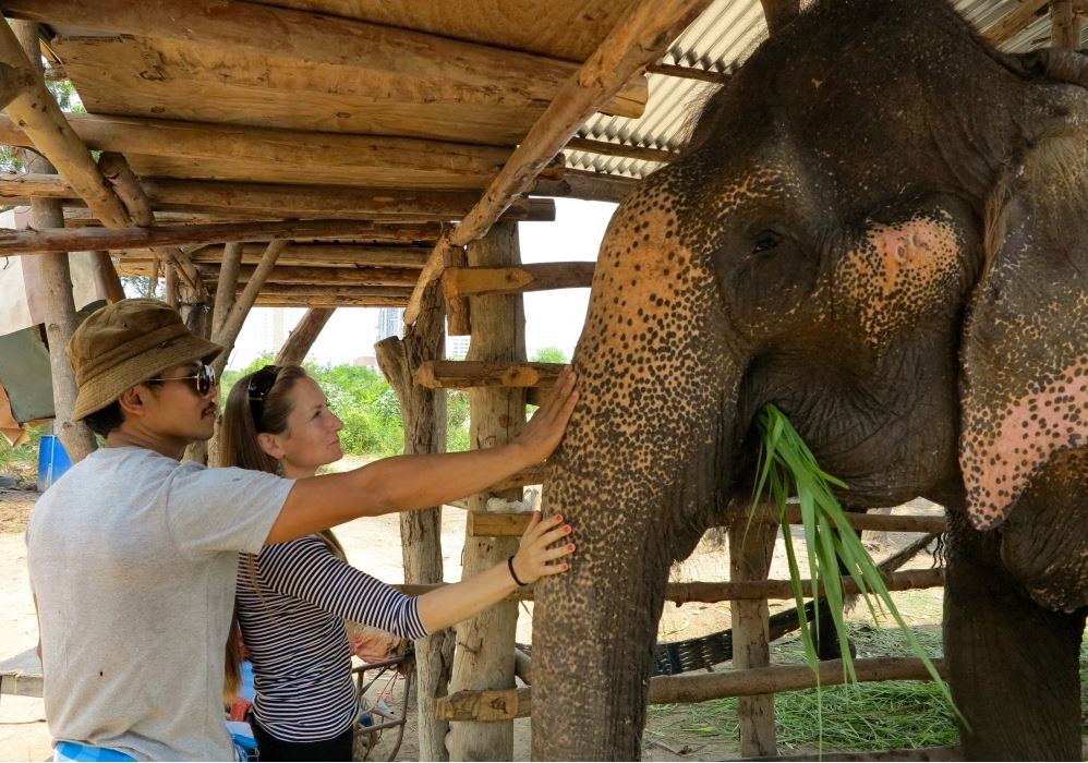 elephant-rescued-8