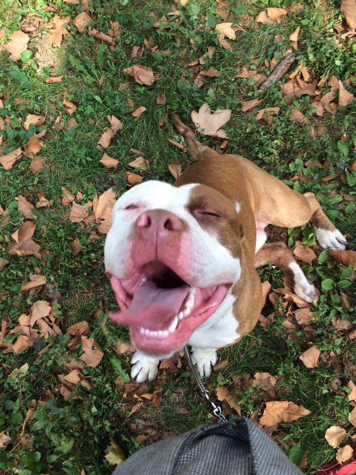 max-abandoned-finds-home-3