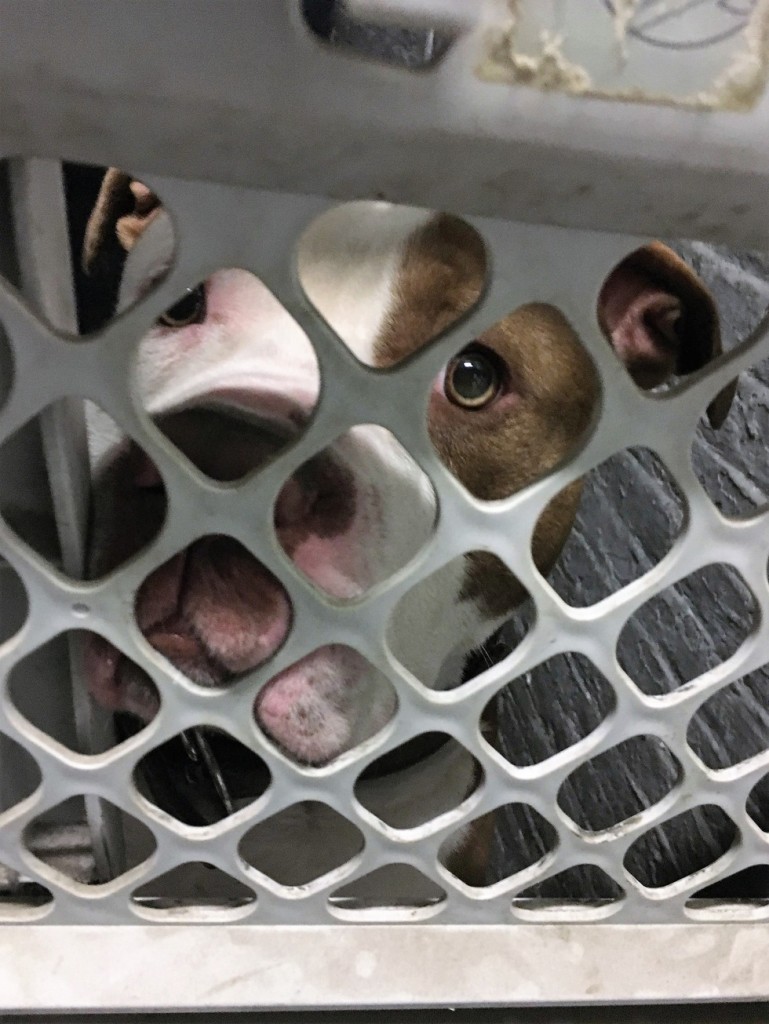 max-abandoned-finds-home-10