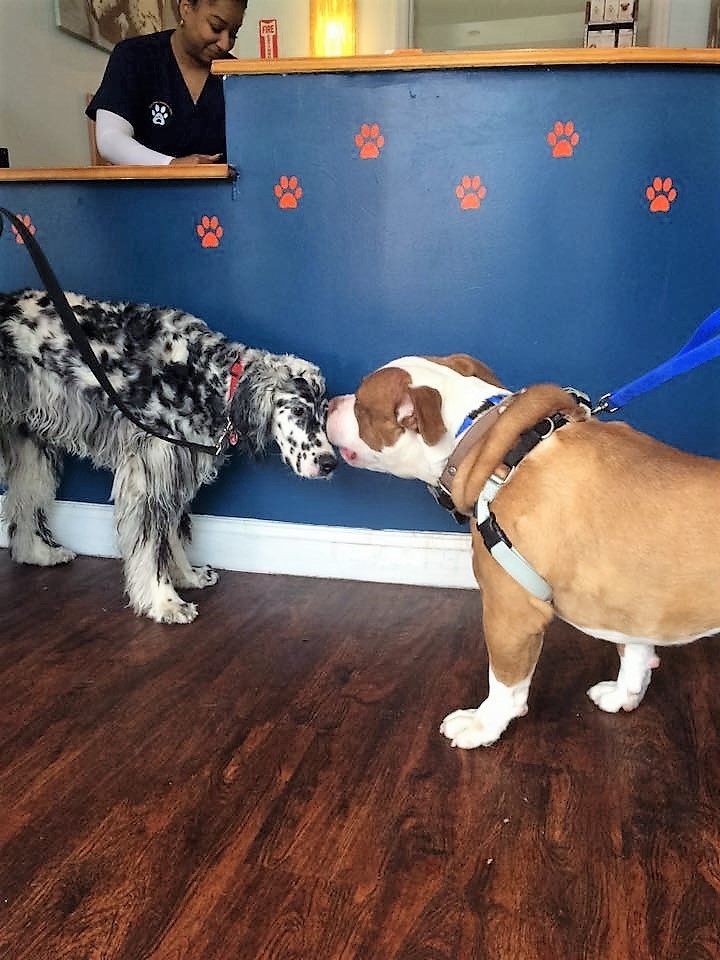 max-abandoned-finds-home-6