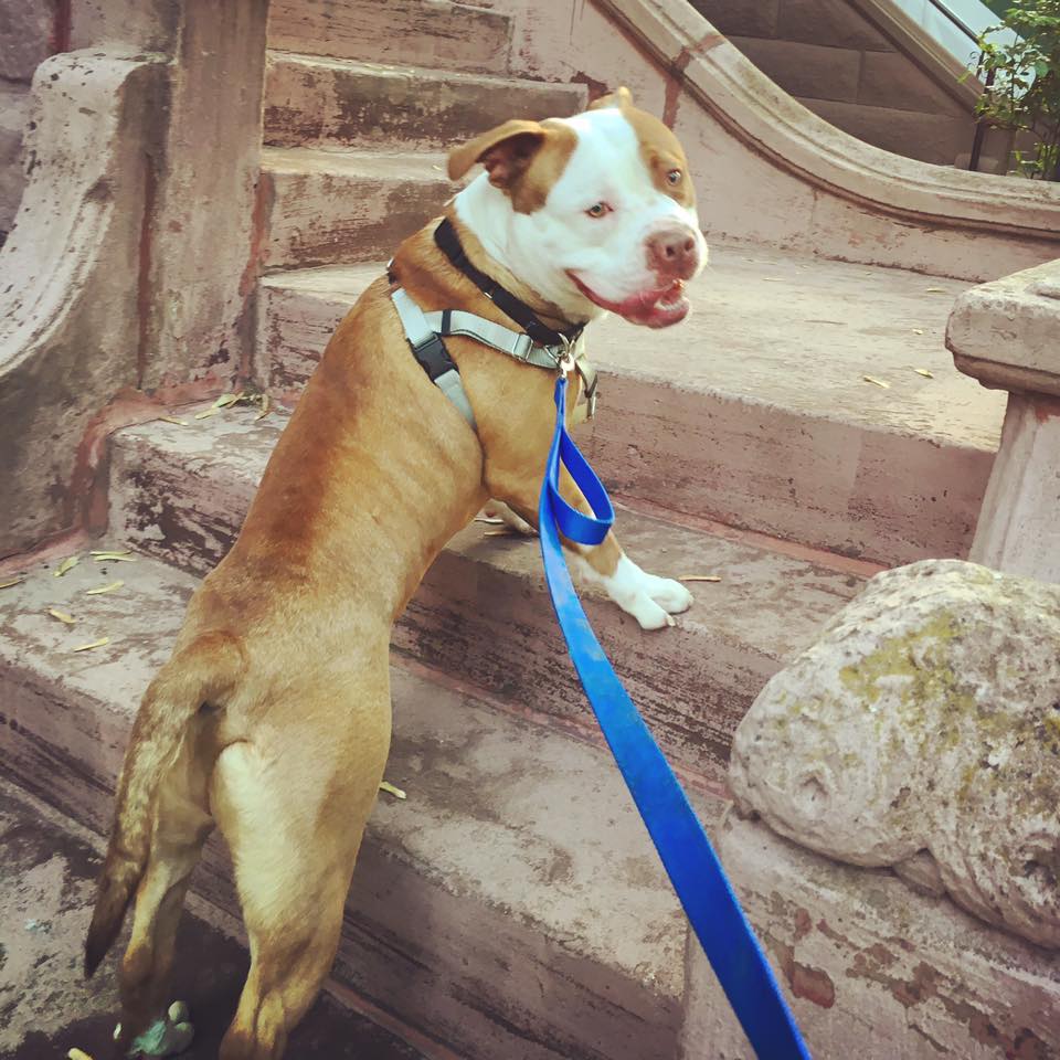 max-abandoned-finds-home-13