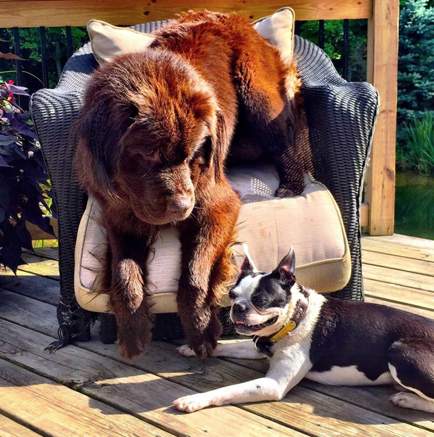 Screen Shot 2015-08-07 at 13.58.20