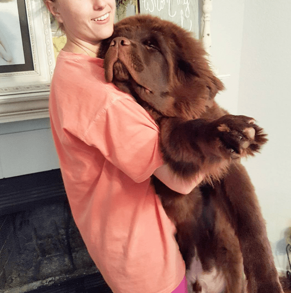 newfoundland-friends-7