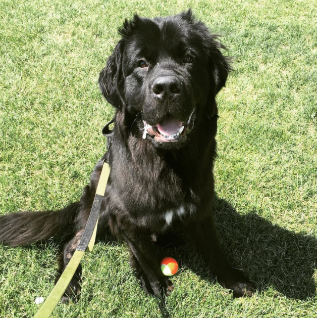 Screen Shot 2015-08-07 at 13.59.20