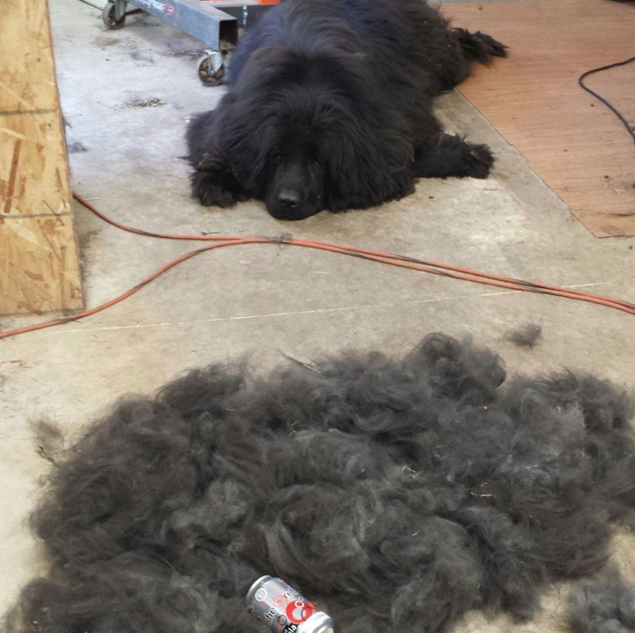 Screen Shot 2015-08-07 at 13.56.46