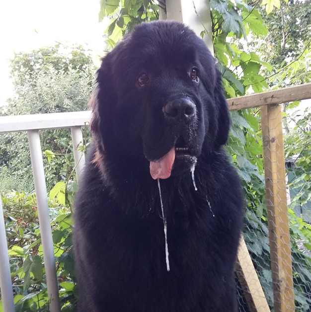 Screen Shot 2015-08-07 at 13.54.53