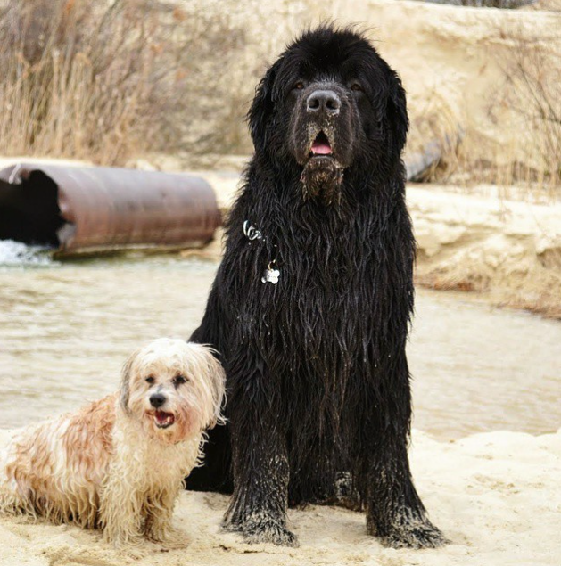 Screen Shot 2015-08-07 at 13.55.33