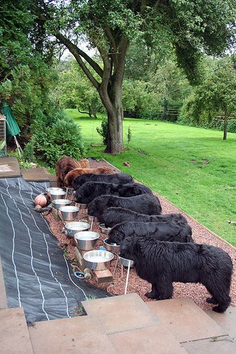 e864381157eeb0402713124eb05e353f