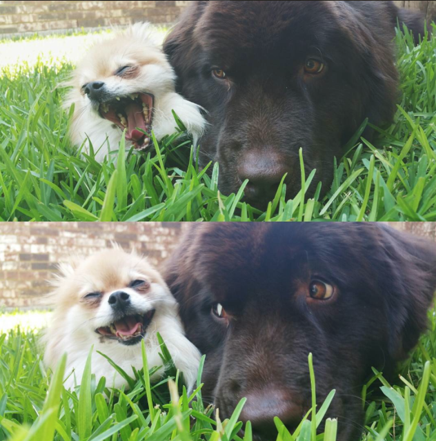 Screen Shot 2015-08-07 at 13.54.08