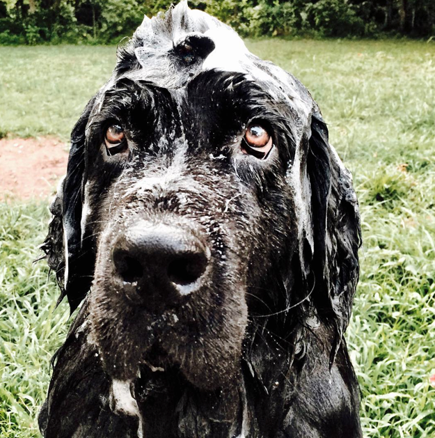 Screen Shot 2015-08-07 at 13.55.13