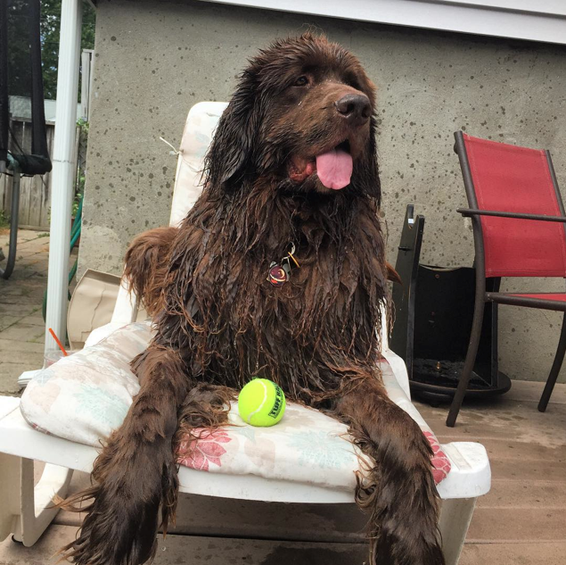 Screen Shot 2015-08-07 at 13.57.43