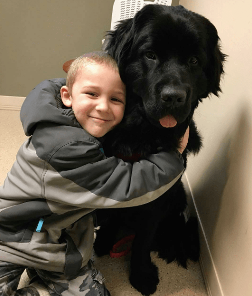 newfoundland-friends-6