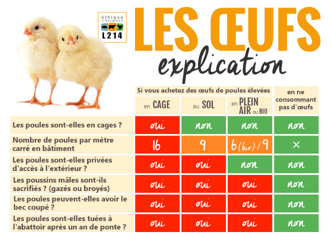 L214-oeufs-supermarches