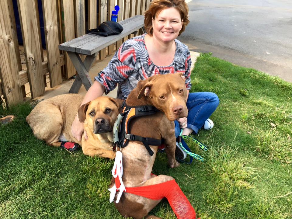 13133376_1597684410546533_3286728499949204939_n