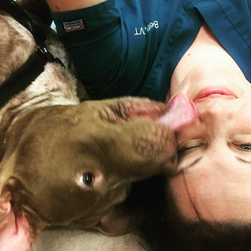 13124681_1596803517301289_1869638497012451148_n