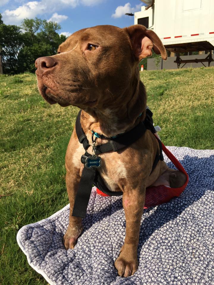 13102873_1599314753716832_462718406536884844_n