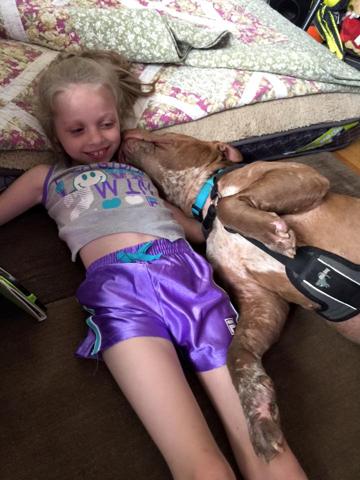 13339590_1608564949458479_461317302659783147_n