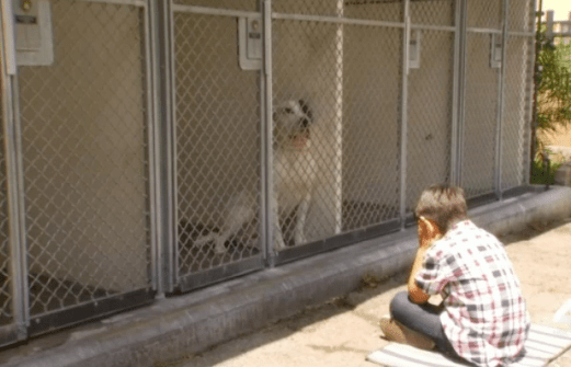 pirate-jacob-reading-3