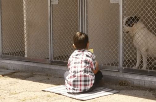 pirate-jacob-reading-2