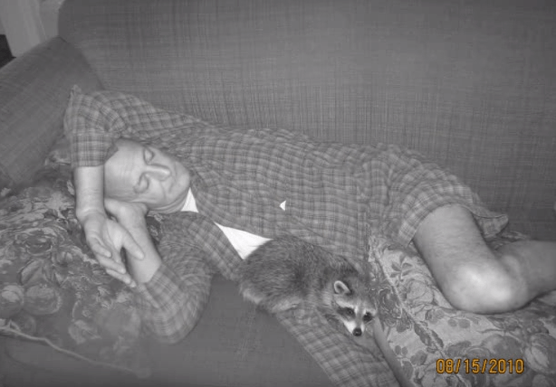 loki-raccoon-friendship-7