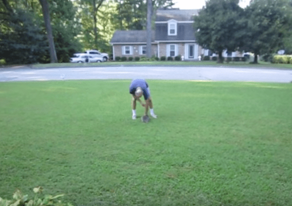 loki-raccoon-friendship-1