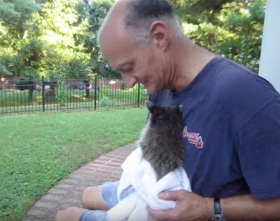 loki-raccoon-friendship-2