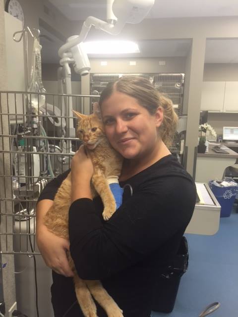 chat-abandonne-sac-a-dos-8