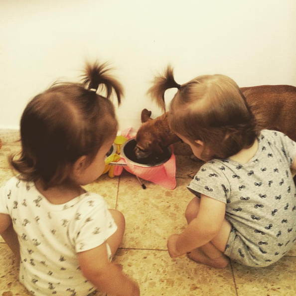 life-kids-dogs-6