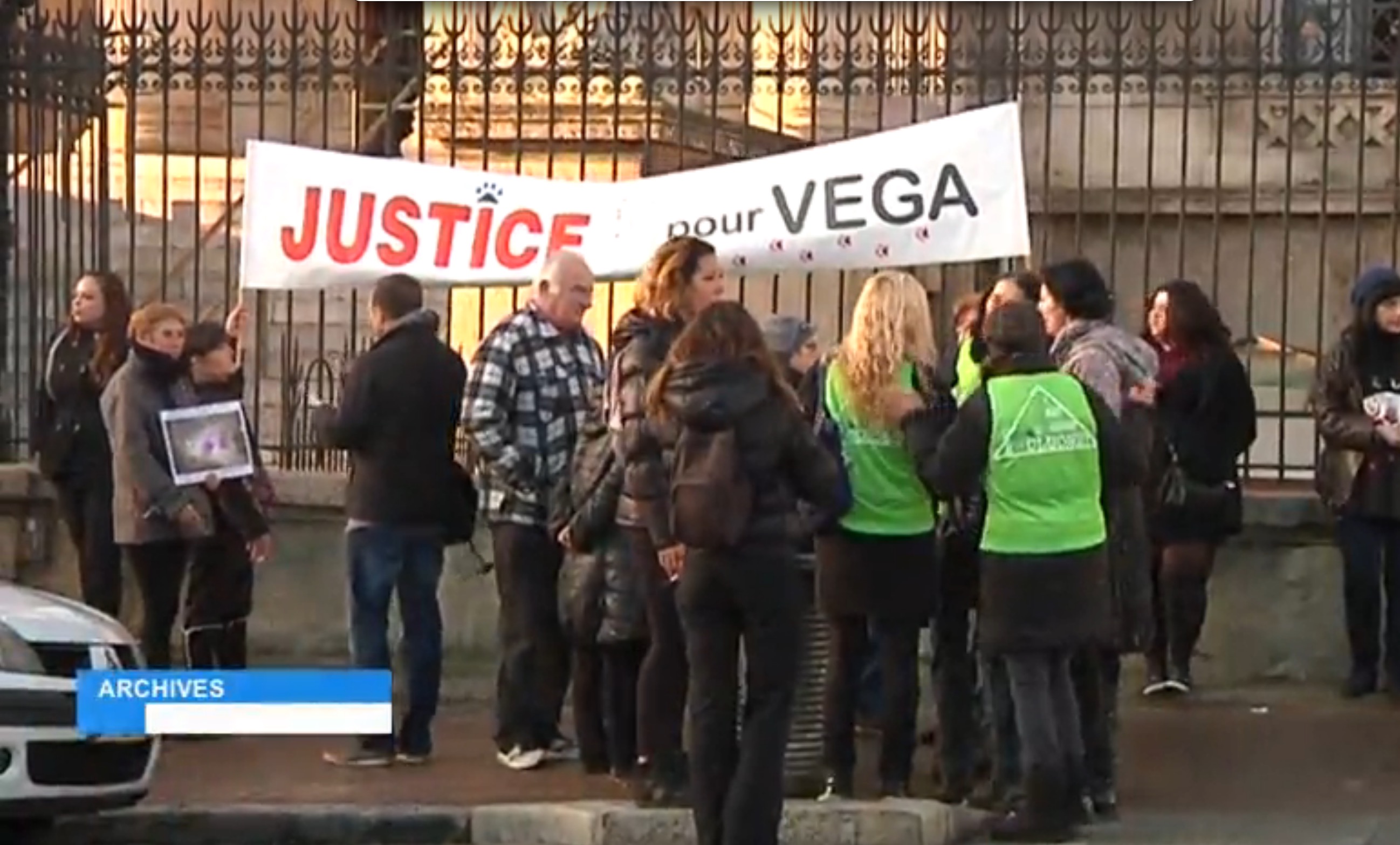 vega-chat-battu-condamnation-8