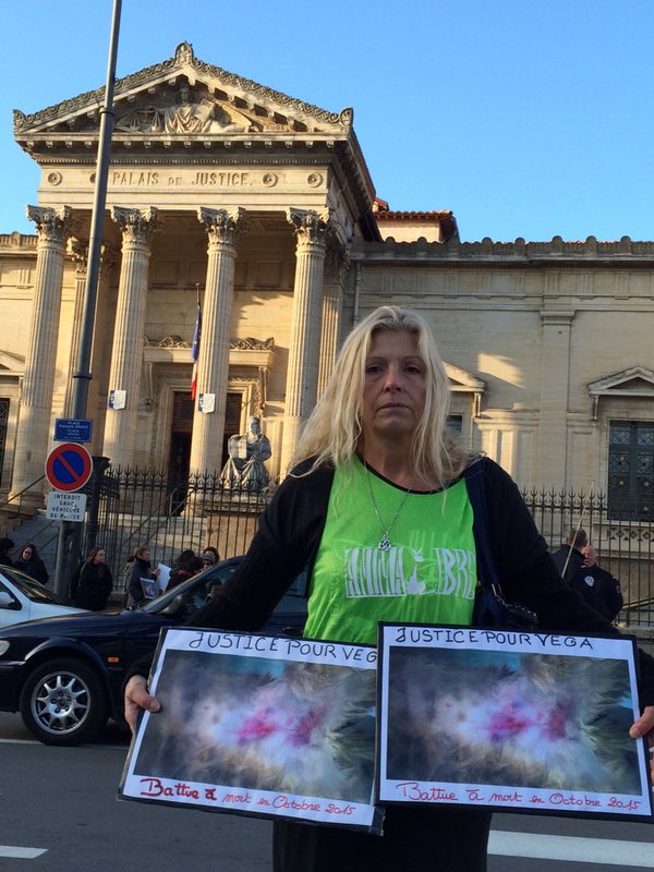 vega-chat-battu-condamnation-3