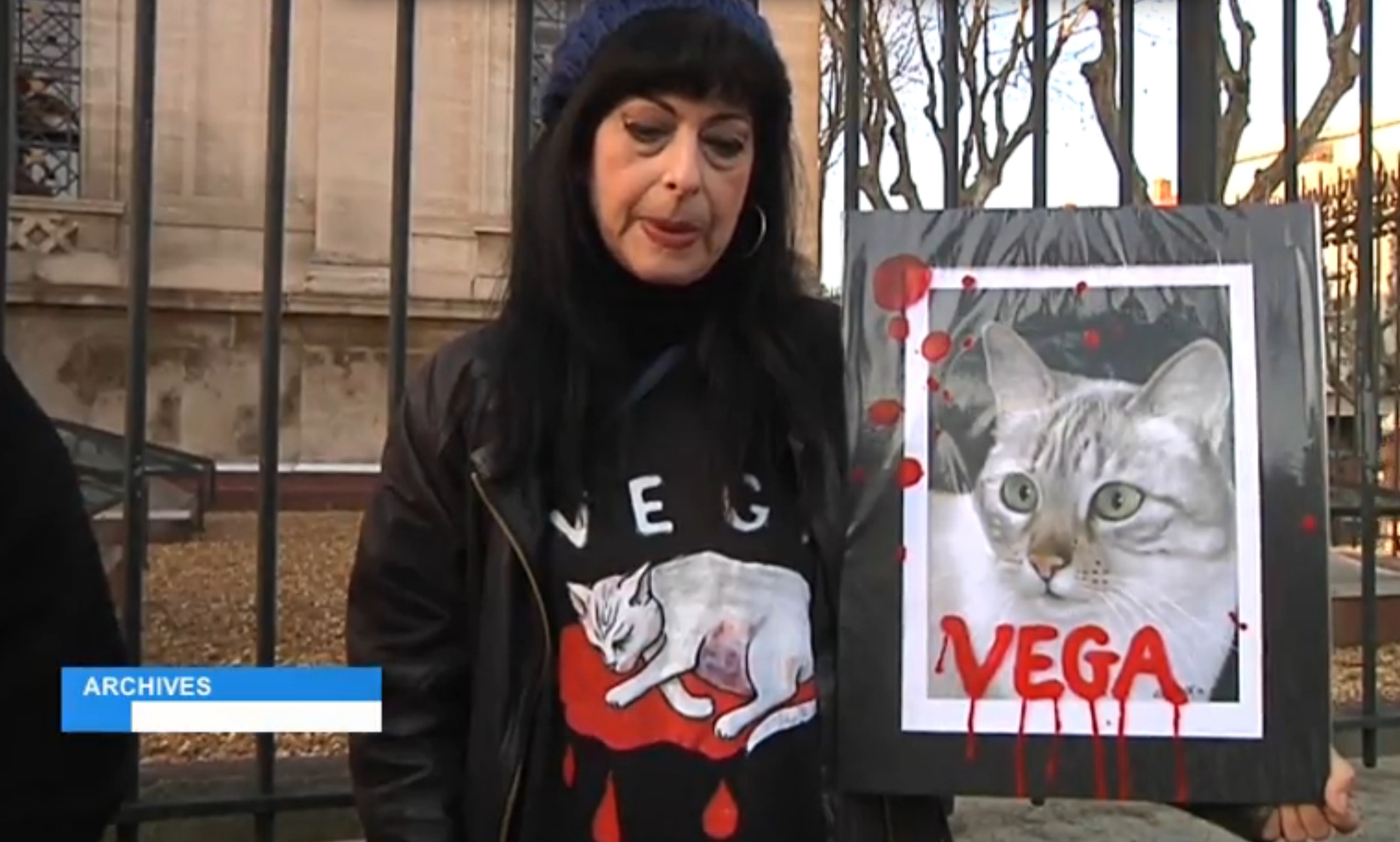 vega-chat-battu-condamnation-4