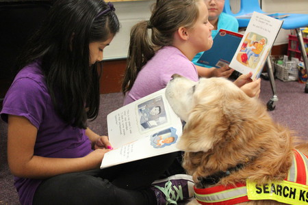 bretagne-dog-death-5