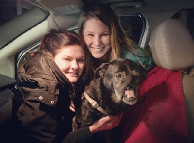 Anubis-dog-cairo-snarr-10