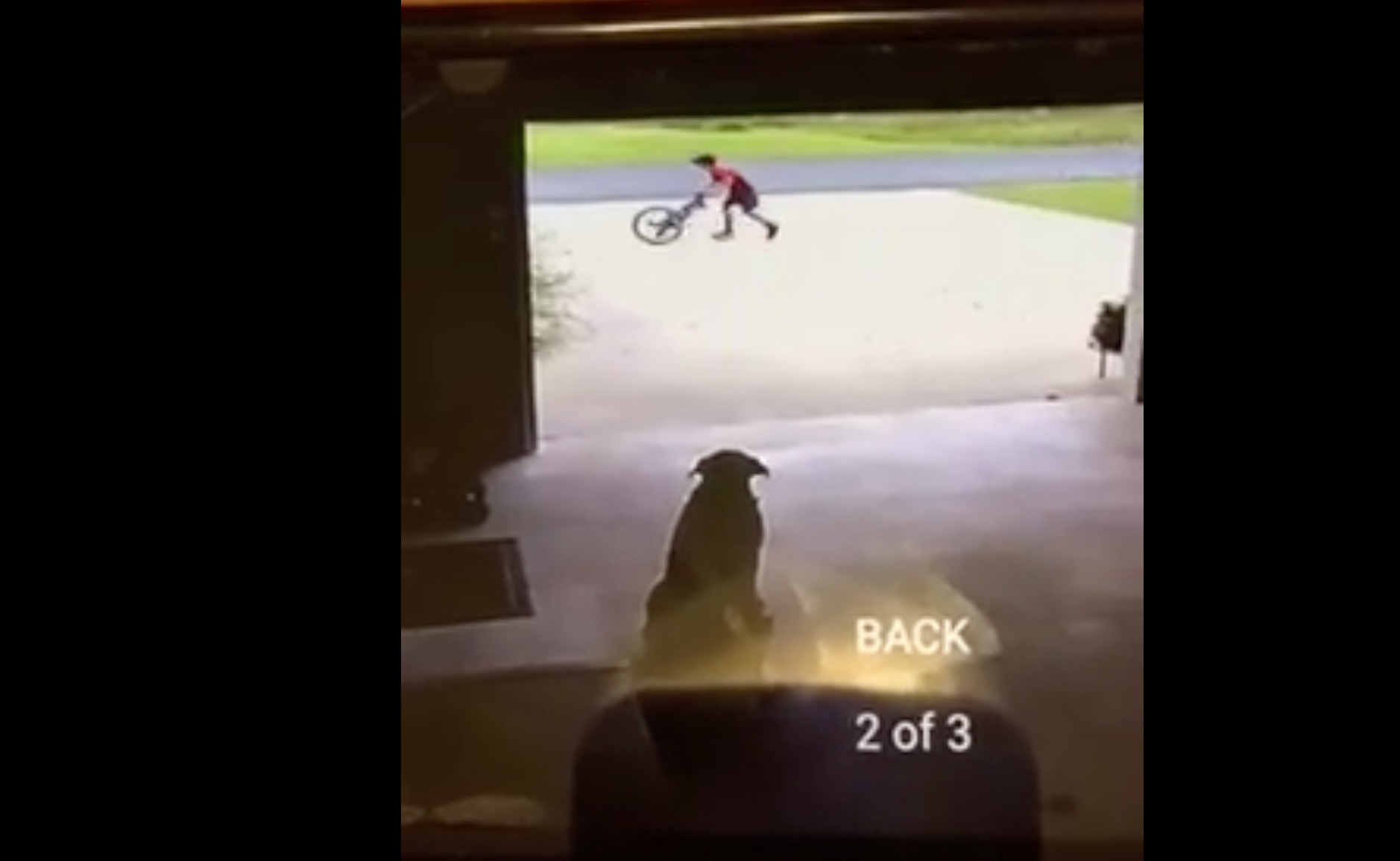 enfant-chien-camera-calin-4