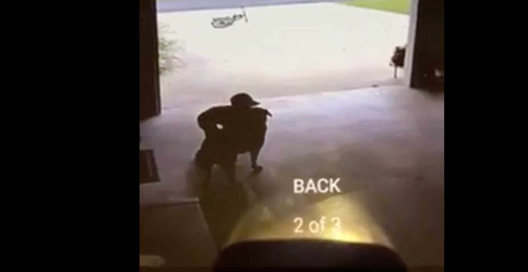 enfant-chien-camera-calin-3