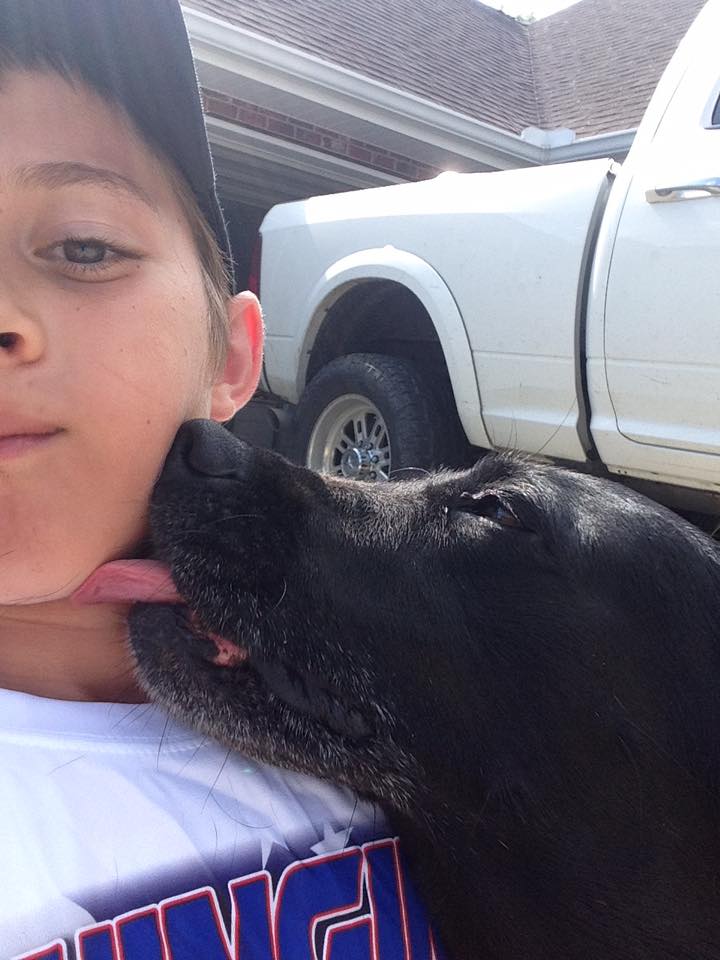 enfant-chien-camera-calin-6