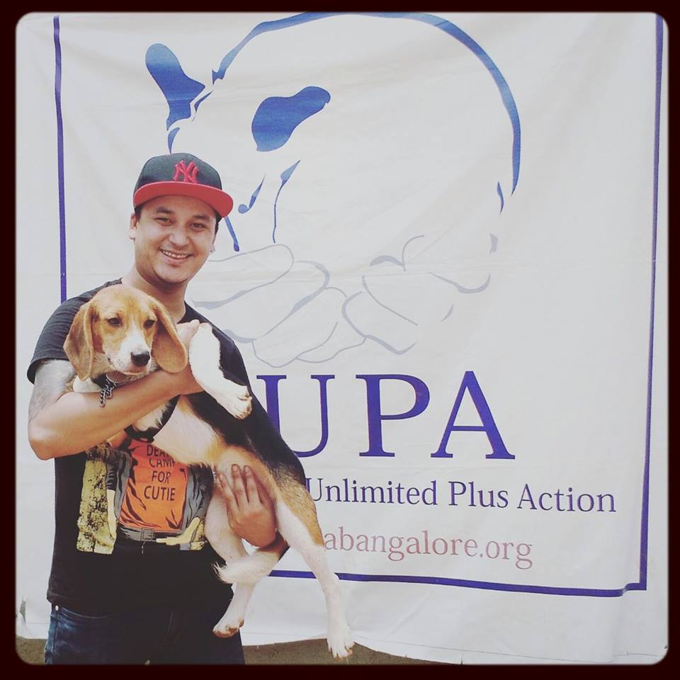 beagles-premier-bain-6