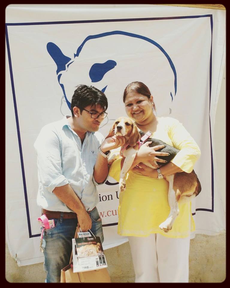 beagles-premier-bain-7