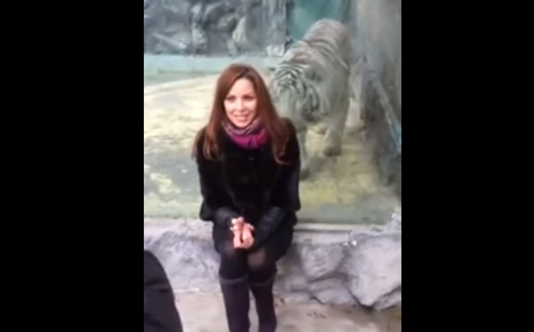tigre-zoo-japon-video-virale-5