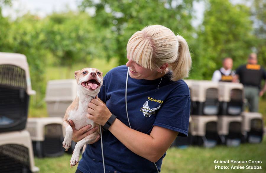 operation-dire-straits-9