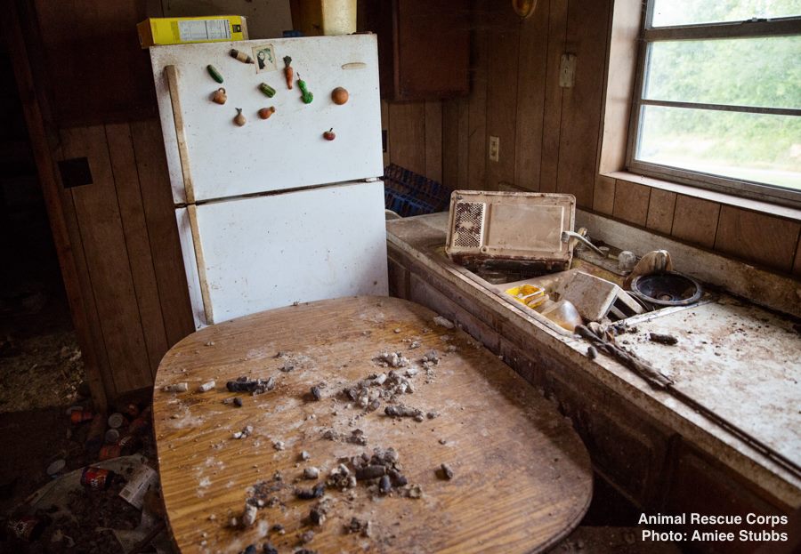 operation-dire-straits-5