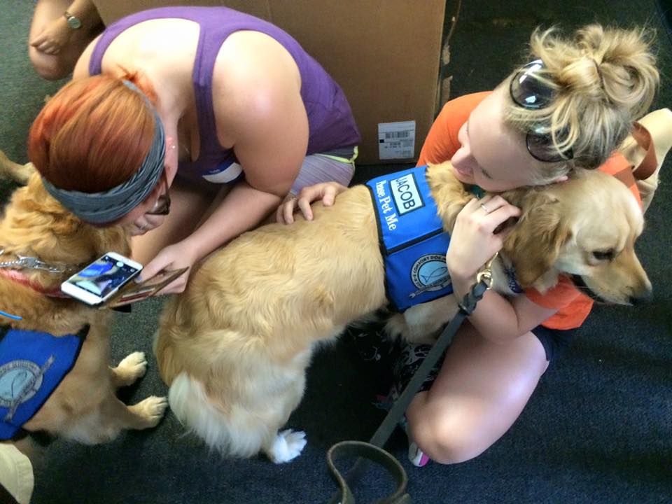 fusillade-orlando-chiens-sauveteurs-8