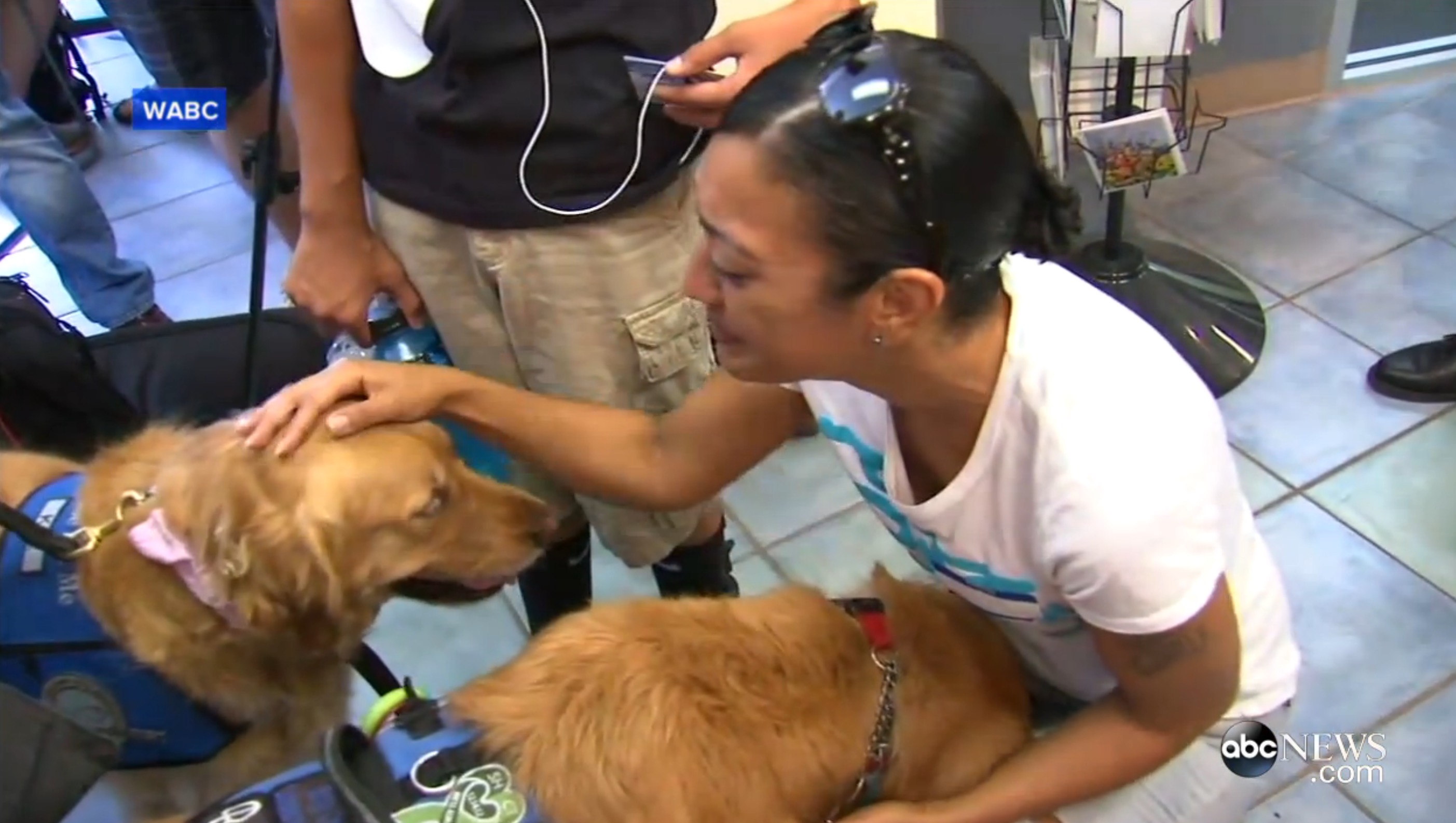 fusillade-orlando-chiens-sauveteurs-9