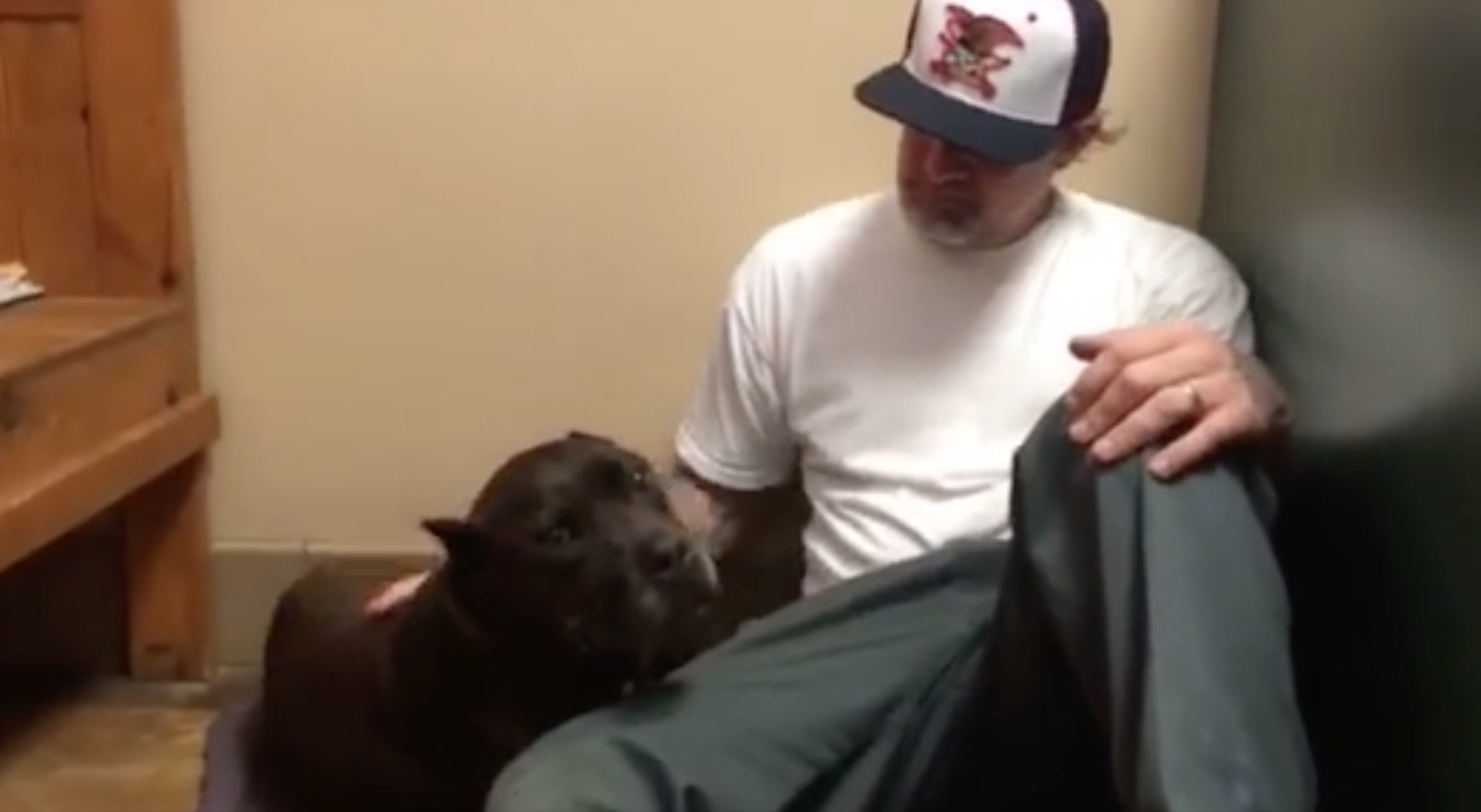 jesse-pitbull-mort-1