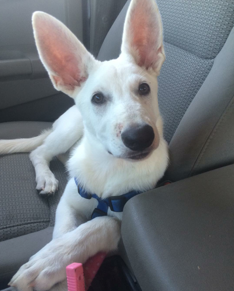 Screen Shot 2015-09-11 at 15.32.22