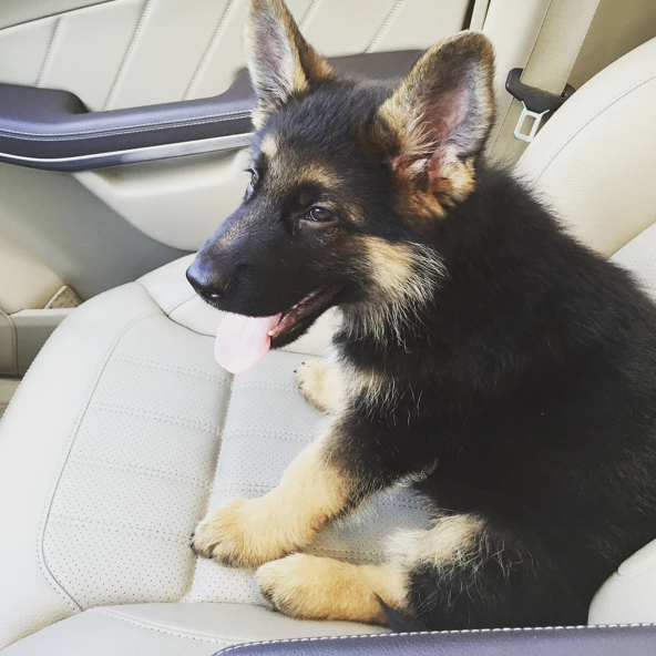 Screen Shot 2015-09-11 at 15.36.57