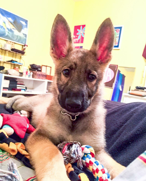 Screen Shot 2015-09-11 at 15.37.58