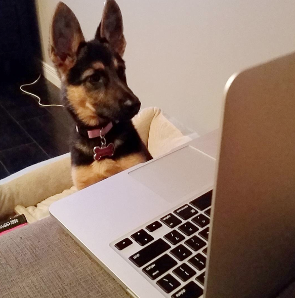 Screen Shot 2015-09-11 at 15.35.01